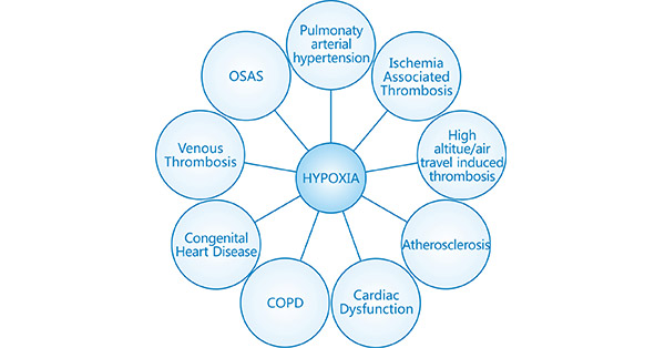 Get An Overview Of Hypoxia And Its Research CUSABIO