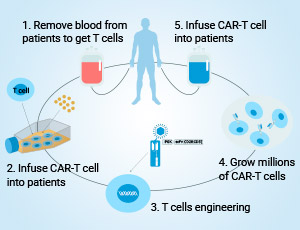 CAR-T Therapy Development Solutions