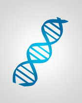 Cusabio offers RT-PCR Primers, Clone, and Tools Enzyme for Molecular Biology research.