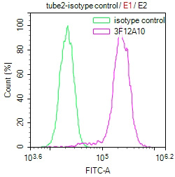 Overlay Peak curve showing Hela cells stained with CSB-MA010418PA28ph02HU (red line) at 1:100. The cells were incubated in 10% normal goat serum to block non-specific protein-protein interactions followed by the antibody (1microg/1*106cells) for 1h at 4°C. The secondary antibody used was FITC-conjugated Goat Anti-Mouse IgG(H+L) at 1/100 dilution for 30min at 4°C. Isotype control antibody (green line) was mouse IgG1 (1microg/1*106cells) used under the same conditions. Acquisition of >10,000 events was performed.