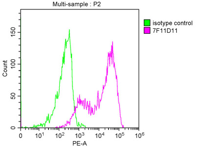 Overlay histogram showing 293 cells transfected with PD-L2 stained with CSB-MA017667A0m (red line). The cells were incubated in 10% normal goat serum to block non-specific protein-protein interactions followed by the antibody (2microg/1*106 cells) for 1 h at 4°C. The secondary antibody used was R-PE-conjugated Goat Anti-Mouse IgG(H+L) at 1/100 dilution for 30min at 4°C. Isotype control antibody (green line) was mouse IgG2b (2microg/1*106 cells) used under the same conditions. Acquisition of >10,000 events was performed.