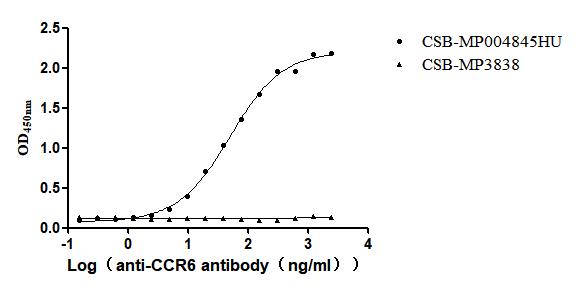 The Binding Activity of Human CCR6 with Anti-CCR6 Recombinant Antibody Activity: Measured by its binding ability in a functional ELISA. Immobilized Human CCR6 (CSB-MP004845HU) at 10 microg/mL can bind Anti-CCR6 recombinant antibody. The EC50 is 44.79-56.10 ng/mL. The VLPs (CSB-MP3838) is negative control.