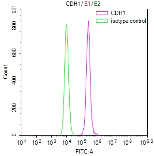 Overlay Peak curve showing MCF7 cells stained with CSB-RA005034MA1HU (red line) at 1:100. Then 10% normal goat serum was Incubated to block non-specific protein-protein interactions followed by the antibody (1microg/1*106cells) for 45 min at 4°C. The secondary antibody used was FITC-conjugated Goat Anti-Mouse IgG(H+L) at 1/200 dilution for 35 min at 4°C. Isotype control antibody (green line) was mouse IgG1 (1microg/1*106cells) used under the same conditions. Acquisition of >10,026 events was performed.