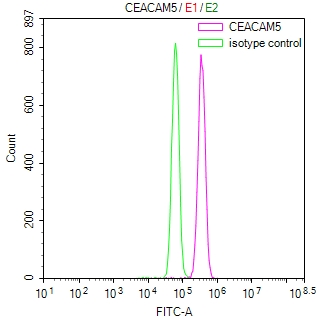 Overlay Peak curve showing Hela cells stained with CSB-RA005165MA3HU (red line) at 1:100. Then 10% normal goat serum was Incubated to block non-specific protein-protein interactions followed by the antibody (1microg/1*106cells) for 45 min at 4°C. The secondary antibody used was FITC-conjugated Goat Anti-human IgG(H+L) at 1/200 dilution for 35 min at 4°C. Isotype control antibody (green line) was human IgG1 (1microg/1*106cells) used under the same conditions. Acquisition of >10,026 events was performed.