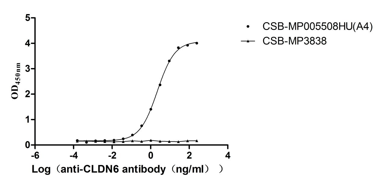 The Binding Activity of Human CLDN6 with Anti-CLDN6 recombinant antibody Activity: Measured by its binding ability in a functional ELISA. Immobilized Human CLDN6 (CSB-MP005508HU(A4)) at 10 microg/mL can bind Anti-CLDN6 recombinant antibody. The EC50 is 2.033-2.415 ng/mL. The VLPs (CSB-MP3838) is negative control.