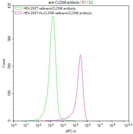 Untransfected HEK-293T cells (green line) and transfected Human CLDN6 HEK-293T stable cells (red line) were stained with anti-CLDN6 antibody (2microg/1*106cells), washed and then followed by APC-conjugated anti-Human IgG Fc antibody and analyzed with flow cytometry.