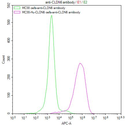 Untransfected MC38 cells (green line) and transfected Human CLDN6 MC38 stable cells (red line) were stained with anti-CLDN6 antibody (2microg/1*106cells), washed and then followed by APC-conjugated anti-Human IgG Fc antibody and analyzed with flow cytometry.