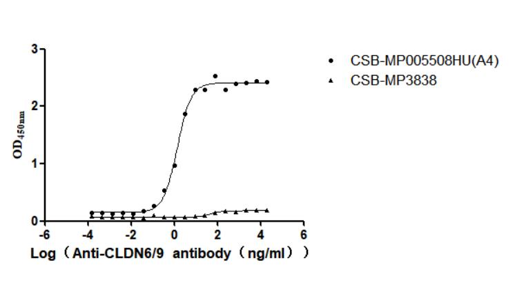 The Binding Activity of Human CLDN6 with Anti-CLDN6-9 recombinant antibody Activity: Measured by its binding ability in a functional ELISA. Immobilized Human CLDN6 (CSB-MP005508HU(A4)) at 10 microg/mL can bind Anti-CLDN6-9 recombinant antibody. The EC50 is 1.189-1.618 ng/mL. The VLPs (CSB-MP3838) is negative control.