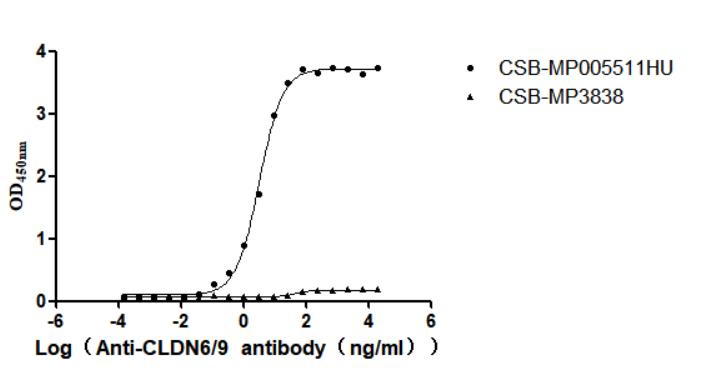 The Binding Activity of Human CLDN6 with Anti-CLDN6-9 recombinant antibody Activity: Measured by its binding ability in a functional ELISA. Immobilized Human CLDN6-9 (CSB-MP005511HU) at 10 microg/mL can bind Anti-CLDN6-9 recombinant antibody. The EC50 is 2.876-3.657 ng/mL. The VLPs (CSB-MP3838) is negative control.