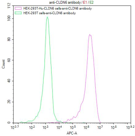 Untransfected HEK-293T cells (green line) and transfected Human CLDN6 HEK-293T stable cells (red line) were stained with anti-CLDN6 antibody (CSB-RA005508MA4HU) (2microg/1*106cells), washed and then followed by APC-conjugated anti-Mouse IgG Fc antibody and analyzed with flow cytometry.