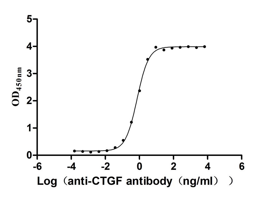 The Binding Activity of Rhesus macaque CTGF with Anti-CTGF Recombinant Antibody Activity: Measured by its binding ability in a functional ELISA. Immobilized Rhesus macaque CTGF (CSB-MP5112MOW) at 1 microg/mL can bind Anti-CTGF recombinant antibody. The EC50 is 0.6886-0.7825 ng/mL.