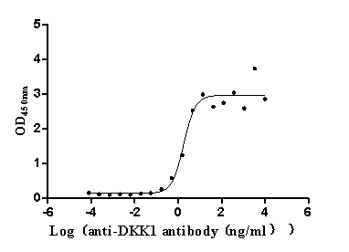 The Binding Activity of Human DKK1 with Anti-DKK1 Recombinant Antibody Activity: Measured by its binding ability in a functional ELISA. Immobilized Human DKK1 (CSB-MP006920HU(A4)) at 2 microg/mL can bind Anti-DKK1 recombinant antibody, the EC50 is 1.283-2.544 ng/mL.