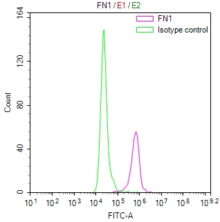 Overlay Peak curve showing 3T3 cells stained with CSB-RA008759MA1HU (red line) at 1:50. Then 10% normal goat serum was Incubated to block non-specific protein-protein interactions followed by the antibody (1microg/1*106cells) for 45 min at 4°C. The secondary antibody used was FITC-conjugated Goat Anti-Mouse IgG(H+L) at 1/200 dilution for 35 min at 4°C. Isotype control antibody (green line) was mouse IgG1 (1microg/1*106cells) used under the same conditions. Acquisition of >10, 000 events was performed.