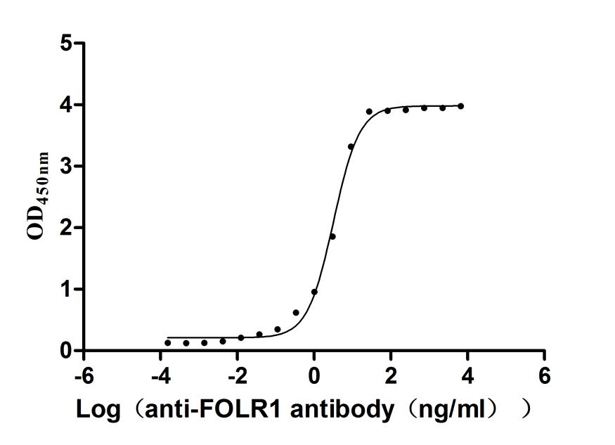 The Binding Activity of Cynomolgus FOLR1 with Anti-FOLR1 recombinant antibody Activity: Measured by its binding ability in a functional ELISA. Immobilized Cynomolgus FOLR1(CSB-MP5002MOV) at 2 microg/mL can bind Anti-FOLR1 recombinant antibody. The EC50 is 2.900-3.544 ng/mL.