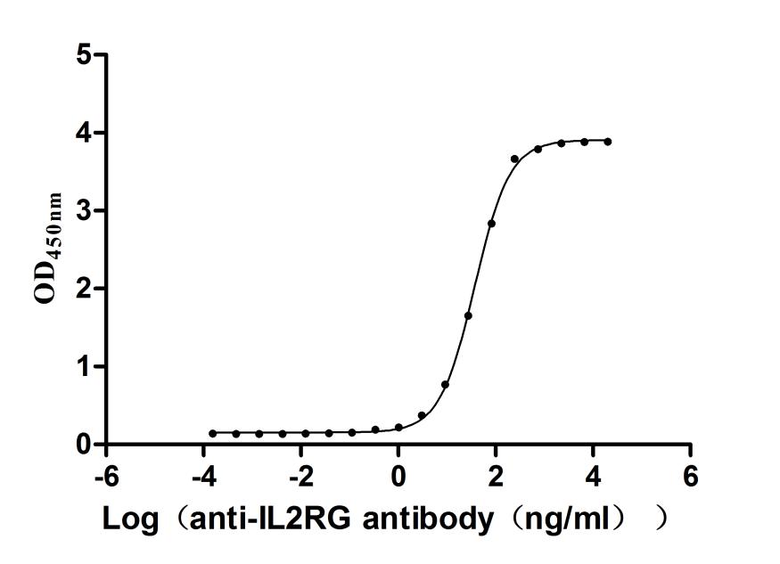 The Binding Activity of Rhesus macaque IL2RG with Anti-IL2RG recombinant antibody Activity: Measured by its binding ability in a functional ELISA. Immobilized Rhesus macaque IL2RG (CSB-MP2765MOW) at 2 microg/mL can bind Anti-IL2RG recombinant antibody. The EC50 is 33.73-41.04 ng/mL.