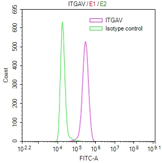 Overlay Peak curve showing MCF7 cells stained with CSB-RA011877MA1HU (red line) at 1:100. Then 10% normal goat serum was Incubated to block non-specific protein-protein interactions followed by the antibody (1microg/1*106cells) for 45 min at 4°C. The secondary antibody used was FITC-conjugated Goat Anti-Mouse IgG(H+L) at 1/200 dilution for 35 min at 4°C. Isotype control antibody (green line) was mouse IgG1 (1microg/1*106cells) used under the same conditions. Acquisition of >10,011 events was performed.