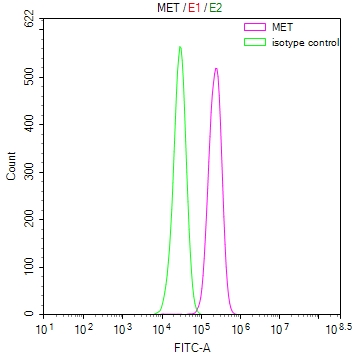 Overlay Peak curve showing Hela cells stained with CSB-RA013714MA1HU (red line) at 1:100. Then 10% normal goat serum was Incubated to block non-specific protein-protein interactions followed by the antibody (1microg/1*106cells) for 45 min at 4°C. The secondary antibody used was FITC-conjugated Goat Anti-Mouse IgG(H+L) at 1/200 dilution for 35 min at 4°C. Isotype control antibody (green line) was mouse IgG1 (1microg/1*106cells) used under the same conditions. Acquisition of >10,000 events was performed.