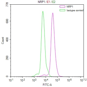 Overlay Peak curve showing PC3 cells stained with CSB-RA016091MA1HU (red line) at 1:100. The cells were fixed in 4% formaldehyde and permeated by 0.2% TritonX-100. Then 10% normal goat serum to block non-specific protein-protein interactions followed by the antibody (1ug/1*106cells) for 45min at 4°C. The secondary antibody used was FITC-conjugated Goat Anti-human IgG(H+L) at 1:200 dilution for 35min at 4°C.Control antibody (green line) was human IgG (1ug/1*106cells) used under the same conditions. Acquisition of >10,000 events was performed.