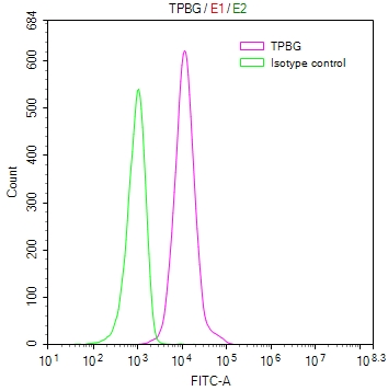 Overlay Peak curve showing MCF7 cells stained with CSB-RA024093MA1HU (red line) at 1:100. Then 10% normal goat serum to block non-specific protein-protein interactions followed by the antibody (1ug/1*106cells) for 45min at 4°C. The secondary antibody used was FITC-conjugated Goat Anti-human IgG(H+L) at 1:200 dilution for 35min at 4°C.Control antibody (green line) was human IgG (1ug/1*106cells) used under the same conditions. Acquisition of >10,000 events was performed.