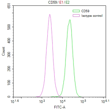 Overlay Peak curve showing Hela cells stained with CSB-RA046065A0HU (red line) at 1:50. The cells were fixed in 4% formaldehyde and permeated by 0.2% TritonX-100. Then 10% normal goat serum to block non-specific protein-protein interactions followed by the antibody (1microg/1*106cells) for 45min at 4°C. The secondary antibody used was FITC-conjugated Goat Anti-rabbit IgG(H+L) at 1:200 dilution for 35min at 4°C.Control antibody (green line) was rabbit IgG (1microg/1*106cells) used under the same conditions. Acquisition of >10,000 events was performed.