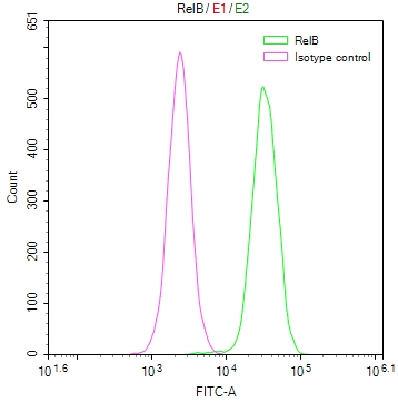 Overlay Peak curve showing Hela cells stained with CSB-RA130517A0HU (red line) at 1:50. The cells were fixed in 4% formaldehyde and permeated by 0.2% TritonX-100. Then 10% normal goat serum to block non-specific protein-protein interactions followed by the antibody (1microg/1*106cells) for 45min at 4°C. The secondary antibody used was FITC-conjugated Goat Anti-rabbit IgG(H+L) at 1:200 dilution for 35min at 4°C.Control antibody (green line) was rabbit IgG (1microg/1*106cells) used under the same conditions. Acquisition of >10,000 events was performed.