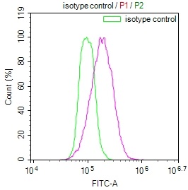 Overlay Peak curve showing Hela cells stained with CSB-RA172768A0HU (red line) at 1:100. The cells were incubated in 10% normal goat serum to block non-specific protein-protein interactions followed by the antibody (1ug/1*106cells) for 45min at 4°C. The secondary antibody used was FITC-conjugated Goat Anti-rabbit IgG(H+L) at 1:200 dilution for 35min at 4°C.Control antibody (green line) was rabbit IgG (1ug/1*106cells) used under the same conditions. Acquisition of >10,000 events was performed.