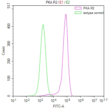 Overlay Peak curve showing MCF-7 cells stained with CSB-RA197122A0HU (red line) at 1:50. The cells were fixed in 4% formaldehyde and permeated by 0.2% TritonX-100. Then 10% normal goat serum to block non-specific protein-protein interactions followed by the antibody (1microg/1*106cells) for 45min at 4°C. The secondary antibody used was FITC-conjugated Goat Anti-rabbit IgG(H+L) at 1:200 dilution for 35min at 4°C.Control antibody (green line) was rabbit IgG (1microg/1*106cells) used under the same conditions. Acquisition of >10,000 events was performed.