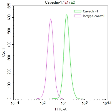 Overlay Peak curve showing Hela cells stained with CSB-RA228590A0HU (red line) at 1:50. The cells were fixed in 4% formaldehyde and permeated by 0.2% TritonX-100. Then 10% normal goat serum to block non-specific protein-protein interactions followed by the antibody (1microg/1*106cells) for 45min at 4°C. The secondary antibody used was FITC-conjugated Goat Anti-rabbit IgG(H+L) at 1:200 dilution for 35min at 4°C.Control antibody (green line) was rabbit IgG (1microg/1*106cells) used under the same conditions. Acquisition of >10,000 events was performed.