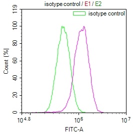 Overlay Peak curve showing PC3 cells stained with CSB-RA240216A0HU (red line) at 1:100. The cells were fixed in 4% formaldehyde and permeated by 0.2% TritonX-100. Then 10% normal goat serum to block non-specific protein-protein interactions followed by the antibody (1ug/1*106cells) for 45min at 4°C. The secondary antibody used was FITC-conjugated Goat Anti-rabbit IgG(H+L) at 1:200 dilution for 35min at 4°C.Control antibody (green line) was rabbit IgG (1ug/1*106cells) used under the same conditions. Acquisition of >10,000 events was performed.