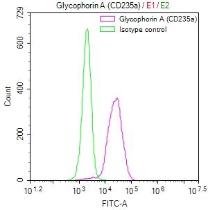 Overlay Peak curve showing K562 cells stained with CSB-RA257220A0HU (red line) at 1:50. The cells were fixed in 4% formaldehyde and permeated by 0.2% TritonX-100. Then 10% normal goat serum to block non-specific protein-protein interactions followed by the antibody (1microg/1*106cells) for 45min at 4°C. The secondary antibody used was FITC-conjugated Goat Anti-rabbit IgG(H+L) at 1:200 dilution for 35min at 4°C.Control antibody (green line) was rabbit IgG (1microg/1*106cells) used under the same conditions. Acquisition of >10,000 events was performed.