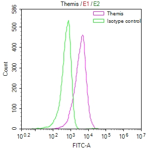 Overlay Peak curve showing Jurkat cells stained with CSB-RA262013A0HU (red line) at 1:50. The cells were fixed in 4% formaldehyde and permeated by 0.2% TritonX-100. Then 10% normal goat serum to block non-specific protein-protein interactions followed by the antibody (1microg/1*106cells) for 45min at 4°C. The secondary antibody used was FITC-conjugated Goat Anti-rabbit IgG(H+L) at 1:200 dilution for 35min at 4°C.Control antibody (green line) was rabbit IgG (1microg/1*106cells) used under the same conditions. Acquisition of >10,000 events was performed.