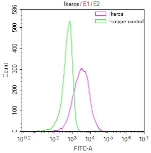 Overlay Peak curve showing Jurkat cells stained with CSB-RA266291A0HU (red line) at 1:50. The cells were fixed in 4% formaldehyde and permeated by 0.2% TritonX-100. Then 10% normal goat serum to block non-specific protein-protein interactions followed by the antibody (1microg/1*106cells) for 45min at 4°C. The secondary antibody used was FITC-conjugated Goat Anti-rabbit IgG(H+L) at 1:200 dilution for 35min at 4°C.Control antibody (green line) was rabbit IgG (1microg/1*106cells) used under the same conditions. Acquisition of >10,000 events was performed.