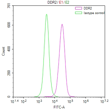 Overlay Peak curve showing A549 cells stained with CSB-RA289302A0HU (red line) at 1:50. The cells were fixed in 4% formaldehyde and permeated by 0.2% TritonX-100. Then 10% normal goat serum to block non-specific protein-protein interactions followed by the antibody (1microg/1*106cells) for 45min at 4°C. The secondary antibody used was FITC-conjugated Goat Anti-rabbit IgG(H+L) at 1:200 dilution for 35min at 4°C.Control antibody (green line) was rabbit IgG (1microg/1*106cells) used under the same conditions. Acquisition of >10,000 events was performed.