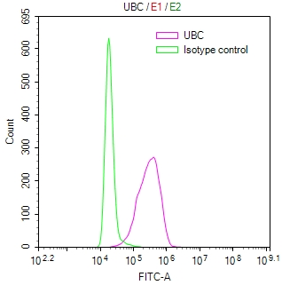 Overlay Peak curve showing MCF7 cells stained with CSB-RA316735MA1HU (red line) at 1:50. Then 10% normal goat serum was Incubated to block non-specific protein-protein interactions followed by the antibody (1microg/1*106cells) for 45 min at 4°C. The secondary antibody used was FITC-conjugated Goat Anti-Mouse IgG(H+L) at 1/200 dilution for 35 min at 4°C. Isotype control antibody (green line) was mouse IgG1 (1microg/1*106cells) used under the same conditions. Acquisition of >10, 022 events was performed.