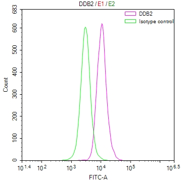 Overlay Peak curve showing A549 cells stained with CSB-RA442393A0HU (red line) at 1:50. The cells were fixed in 4% formaldehyde and permeated by 0.2% TritonX-100. Then 10% normal goat serum to block non-specific protein-protein interactions followed by the antibody (1microg/1*106cells) for 45min at 4°C. The secondary antibody used was FITC-conjugated Goat Anti-rabbit IgG(H+L) at 1:200 dilution for 35min at 4°C.Control antibody (green line) was rabbit IgG (1microg/1*106cells) used under the same conditions. Acquisition of >10,000 events was performed.