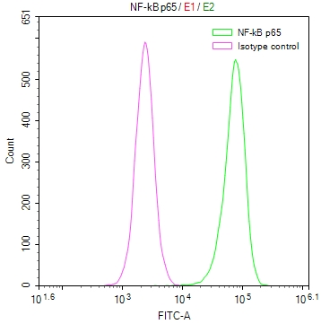 Overlay Peak curve showing Hela cells stained with CSB-RA566133A0HU (red line) at 1:50. The cells were fixed in 4% formaldehyde and permeated by 0.2% TritonX-100. Then 10% normal goat serum to block non-specific protein-protein interactions followed by the antibody (1microg/1*106cells) for 45min at 4°C. The secondary antibody used was FITC-conjugated Goat Anti-rabbit IgG(H+L) at 1:200 dilution for 35min at 4°C.Control antibody (green line) was rabbit IgG (1microg/1*106cells) used under the same conditions. Acquisition of >10,000 events was performed.