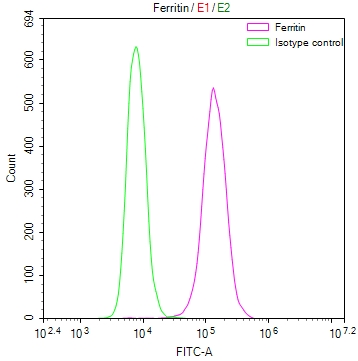 Overlay Peak curve showing 293 cells stained with CSB-RA574579A0HU (red line) at 1:50. The cells were fixed in 4% formaldehyde and permeated by 0.2% TritonX-100. Then 10% normal goat serum to block non-specific protein-protein interactions followed by the antibody (1microg/1*106cells) for 45min at 4°C. The secondary antibody used was FITC-conjugated Goat Anti-rabbit IgG(H+L) at 1:200 dilution for 35min at 4°C.Control antibody (green line) was rabbit IgG (1microg/1*106cells) used under the same conditions. Acquisition of >10,000 events was performed.