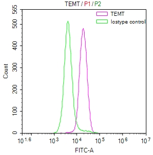 Overlay Peak curve showing SH-SY5Y cells stained with CSB-RA583078A0HU (red line) at 1:50. The cells were fixed in 4% formaldehyde and permeated by 0.2% TritonX-100. Then 10% normal goat serum to block non-specific protein-protein interactions followed by the antibody (1microg/1*106cells) for 45min at 4°C. The secondary antibody used was FITC-conjugated Goat Anti-rabbit IgG(H+L) at 1:200 dilution for 35min at 4°C.Control antibody (green line) was rabbit IgG (1microg/1*106cells) used under the same conditions. Acquisition of >10,000 events was performed.