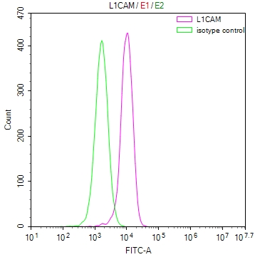 Overlay Peak curve showing MCF-7 cells stained with CSB-RA588962A0HU (red line) at 1:50. The cells were fixed in 4% formaldehyde and permeated by 0.2% TritonX-100. Then 10% normal goat serum to block non-specific protein-protein interactions followed by the antibody (1microg/1*106cells) for 45min at 4°C. The secondary antibody used was FITC-conjugated Goat Anti-rabbit IgG(H+L) at 1:200 dilution for 35min at 4°C.Control antibody (green line) was rabbit IgG (1microg/1*106cells) used under the same conditions. Acquisition of >10,000 events was performed.