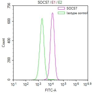 Overlay Peak curve showing HepG2 cells stained with CSB-RA594821A0HU (red line) at 1:50. The cells were fixed in 4% formaldehyde and permeated by 0.2% TritonX-100. Then 10% normal goat serum to block non-specific protein-protein interactions followed by the antibody (1microg/1*106cells) for 45min at 4°C. The secondary antibody used was FITC-conjugated Goat Anti-rabbit IgG(H+L) at 1:200 dilution for 35min at 4°C.Control antibody (green line) was rabbit IgG (1microg/1*106cells) used under the same conditions. Acquisition of >10,000 events was performed.