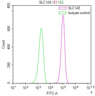 Overlay Peak curve showing A549 cells stained with CSB-RA620892MA1HU (red line) at 1:100. The cells were fixed in 4% formaldehyde and permeated by 0.2% TritonX-100. Then 10% normal goat serum to block non-specific protein-protein interactions followed by the antibody (1ug/1*106cells) for 45min at 4°C. The secondary antibody used was FITC-conjugated Goat Anti-human IgG(H+L) at 1:200 dilution for 35min at 4°C.Control antibody (green line) was human IgG (1ug/1*106cells) used under the same conditions. Acquisition of >10,000 events was performed.