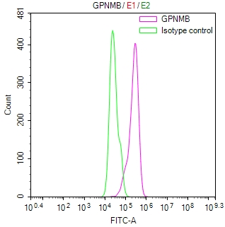 Overlay Peak curve showing Hela cells stained with CSB-RA622928MA1HU (red line) at 1:100. Then 10% normal goat serum was Incubated to block non-specific protein-protein interactions followed by the antibody (1microg/1*106cells) for 45 min at 4°C. The secondary antibody used was FITC-conjugated Goat Anti-Mouse IgG(H+L) at 1/200 dilution for 35 min at 4°C. Isotype control antibody (green line) was mouse IgG1 (1microg/1*106cells) used under the same conditions. Acquisition of >10, 003 events was performed.