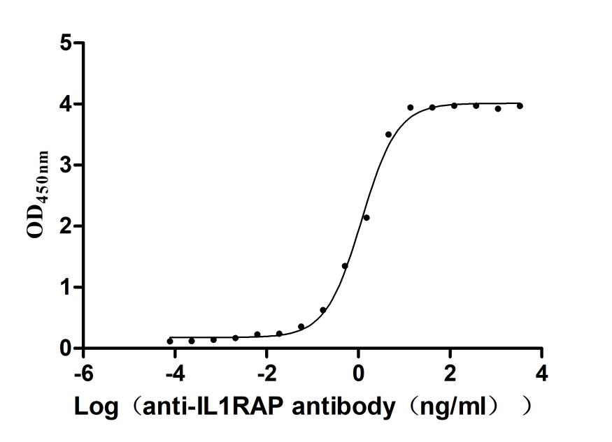 The Binding Activity of Human IL1RAP with Anti-IL1RAP recombinant antibody Activity: Measured by its binding ability in a functional ELISA. Immobilized Human IL1RAP (CSB-MP878844HU) at 2 microg/mL can bind Anti-IL1RAP recombinant antibody. The EC50 is 0.9667-1.477 ng/mL.