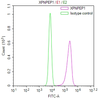 Overlay Peak curve showing JK cells stained with CSB-RA878859MA1HU (red line) at 1:300. Then 10% normal goat serum was Incubated to block non-specific protein-protein interactions followed by the antibody (1microg/1*106cells) for 45 min at 4°C. The secondary antibody used was FITC-conjugated Goat Anti-Mouse IgG(H+L) at 1/200 dilution for 35 min at 4°C. Isotype control antibody (green line) was mouse IgG1 (1microg/1*106cells) used under the same conditions. Acquisition of >10,005 events was performed.