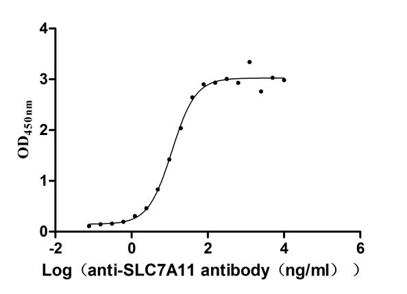 The Binding Activity of Human SLC7A11 with Anti-SLC7A11 recombinant antibody Activity: Measured by its binding ability in a functional ELISA. Immobilized Human SLC7A11 (CSB-CF892171HU(A4)) at 2 microg/mL can bind Anti-SLC7A11 recombinant antibody, the EC50 is 9.452-13.79 ng/mL.