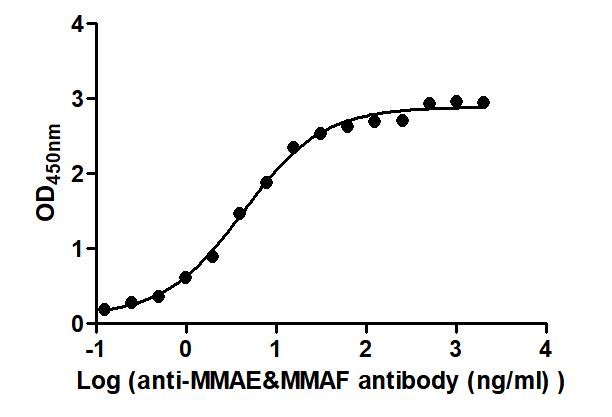 The Binding Activity of Disitamab vedotin (Synonyms: RC48) with Anti-MMAE&MMAF antibody Activity: Measured by its binding ability in a functional ELISA. Immobilized Disitamab vedotin (Synonyms: RC48) at 2 microg/mL can bind Anti-MMAE&MMAF antibody, the EC50 is 3.523 to 5.356 ng/mL.