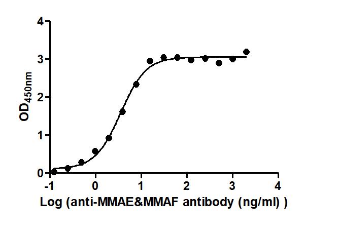 The Binding Activity of Depatuxizumab mafodotin (Synonyms: ABT-414) with Anti-MMAE&MMAF antibody Activity: Measured by its binding ability in a functional ELISA. Immobilized Depatuxizumab mafodotin (Synonyms: ABT-414) at 2 microg/mL can bind Anti-MMAE&MMAF antibody, the EC50 is 3.022 to 4.198 ng/mL.