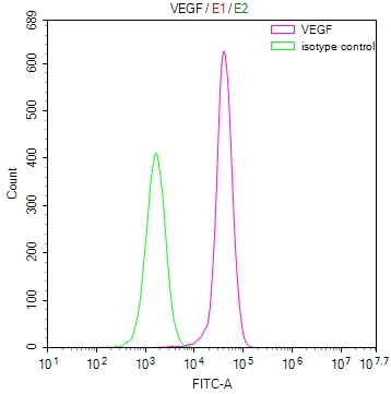 Overlay Peak curve showing MCF-7 cells stained with CSB-RA940669A0HU (red line) at 1:50. The cells were fixed in 4% formaldehyde and permeated by 0.2% TritonX-100. Then 10% normal goat serum to block non-specific protein-protein interactions followed by the antibody (1microg/1*106cells) for 45min at 4°C. The secondary antibody used was FITC-conjugated Goat Anti-rabbit IgG(H+L) at 1:200 dilution for 35min at 4°C.Control antibody (green line) was rabbit IgG (1microg/1*106cells) used under the same conditions. Acquisition of >10,000 events was performed.