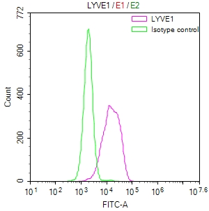 Overlay Peak curve showing HepG2 cells stained with CSB-RA949150A0HU (red line) at 1:50. The cells were fixed in 4% formaldehyde and permeated by 0.2% TritonX-100. Then 10% normal goat serum to block non-specific protein-protein interactions followed by the antibody (1microg/1*106cells) for 45min at 4°C. The secondary antibody used was FITC-conjugated Goat Anti-rabbit IgG(H+L) at 1:200 dilution for 35min at 4°C.Control antibody (green line) was rabbit IgG (1microg/1*106cells) used under the same conditions. Acquisition of >10,000 events was performed.