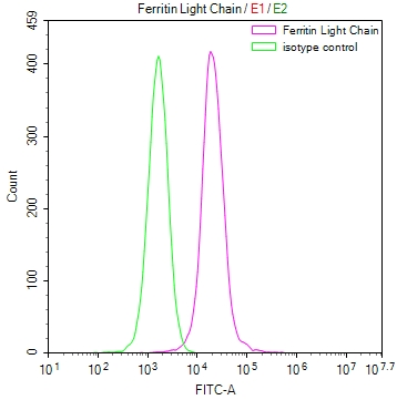 Overlay Peak curve showing MCF-7 cells stained with CSB-RA956089A0HU (red line) at 1:50. The cells were fixed in 4% formaldehyde and permeated by 0.2% TritonX-100. Then 10% normal goat serum to block non-specific protein-protein interactions followed by the antibody (1microg/1*106cells) for 45min at 4°C. The secondary antibody used was FITC-conjugated Goat Anti-rabbit IgG(H+L) at 1:200 dilution for 35min at 4°C.Control antibody (green line) was rabbit IgG (1microg/1*106cells) used under the same conditions. Acquisition of >10,000 events was performed.